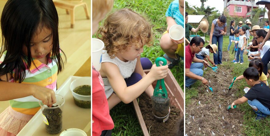 Science - Botany gardening