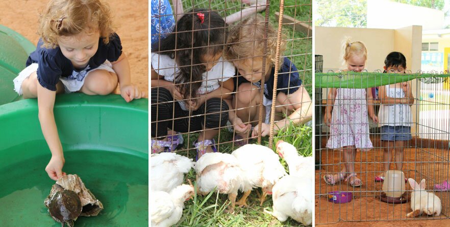 Science - Zoology zoology